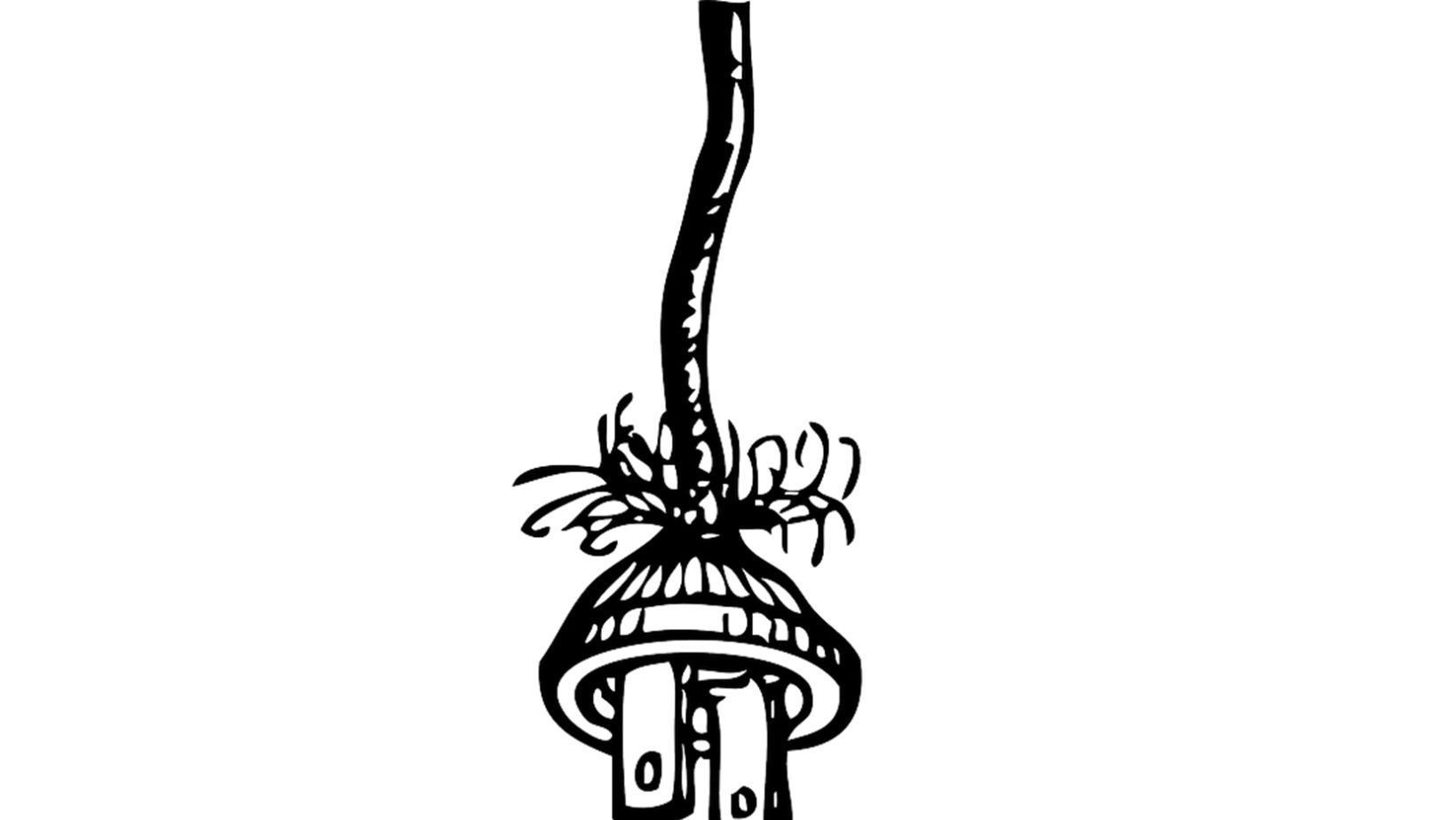 Image2
