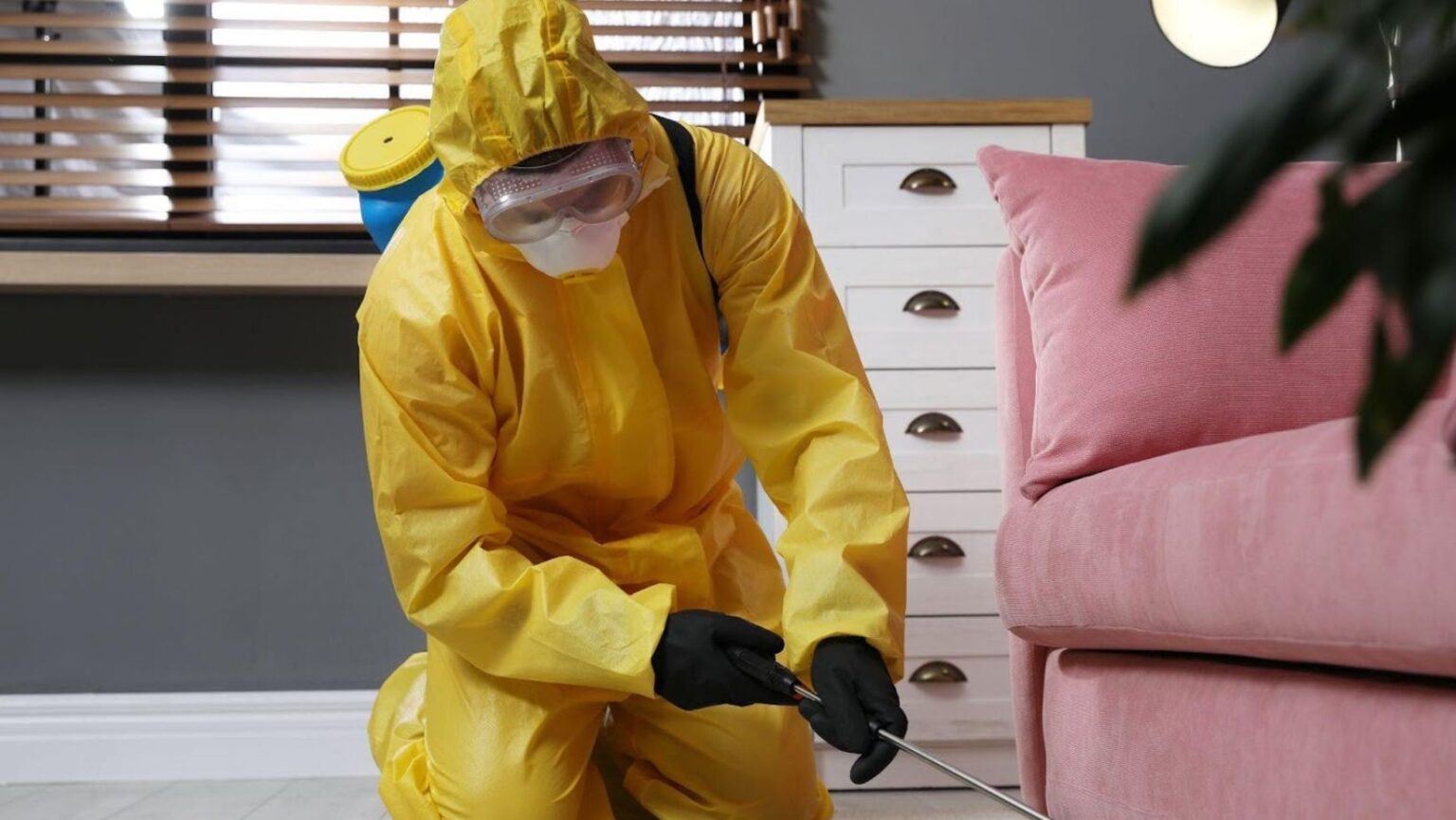 Understanding the Steps Involved in a Comprehensive Termite Inspection ...
