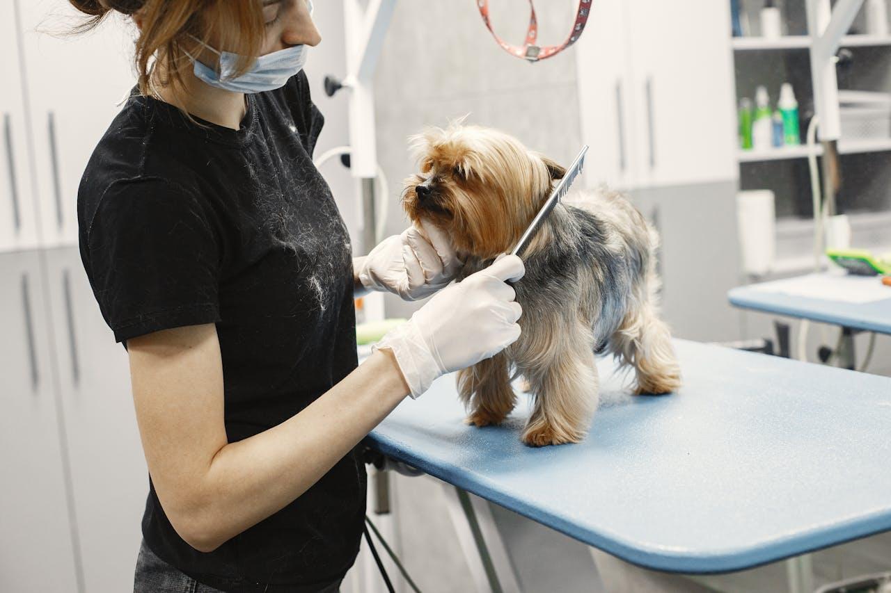 steel buildings veterinary clinics, veterinary clinic steel structure, veterinary clinic construction, steel buildings for veterinary facilities, custom veterinary clinic buildings, veterinary clinic prefab steel, veterinary clinic construction solutions, steel clinic layouts, veterinary practice buildings, steel building contractors veterinary